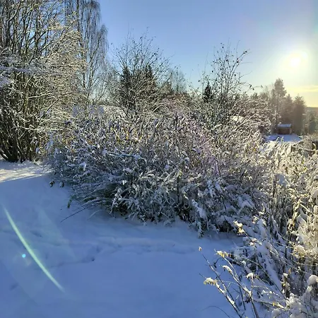 Cozy House In A Quiet Area With Sauna Villa Rovaniemi